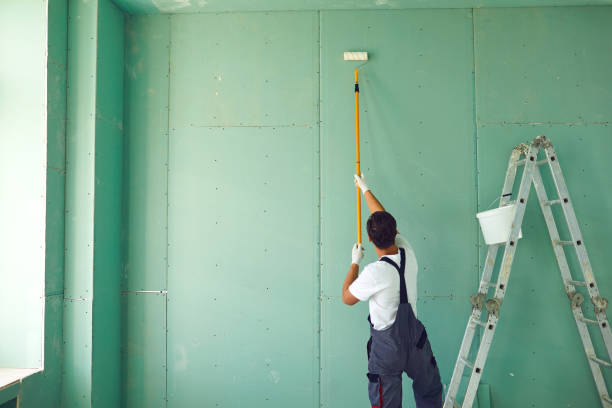 Best Water Damage & Mold Remediation  in Birmingham, AL