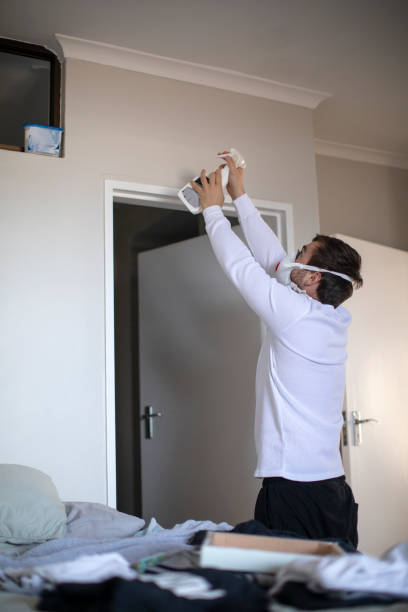 Best Mold Damage Restoration  in Birmingham, AL