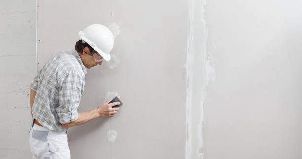 Best Emergency Mold Remediation  in Birmingham, AL