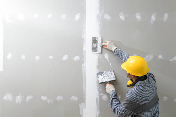 Best Comprehensive Air Testing for Mold Contaminants  in Birmingham, AL