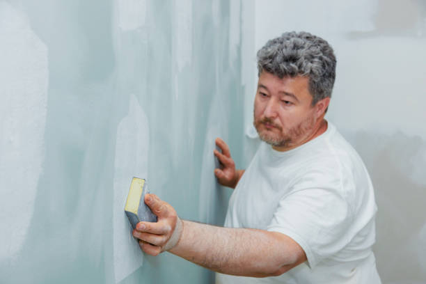 Best Environmental Consulting for Mold Prevention  in Birmingham, AL
