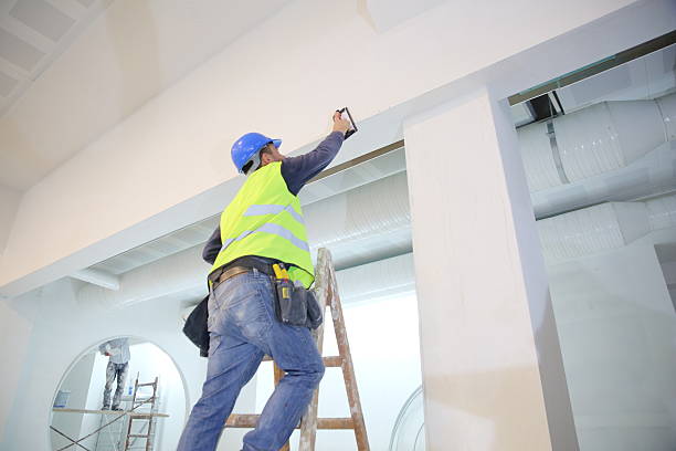 Best Mold Documentation for Insurance Claims  in Birmingham, AL