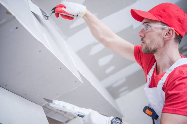 Best Basement Mold Removal  in Birmingham, AL